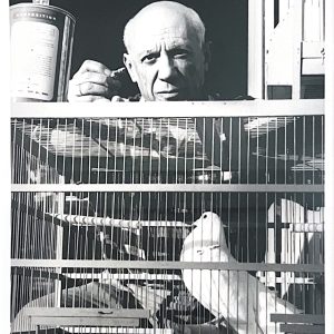 Lucien CLERGUE (1934-2014) - Picasso à la Colombe