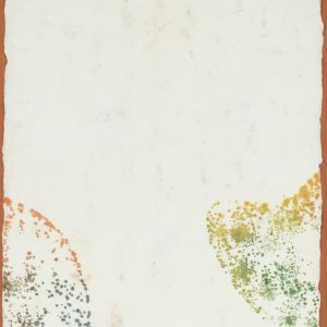 Claude Viallat (né en 1936) - Empreinte - Encres sur papier