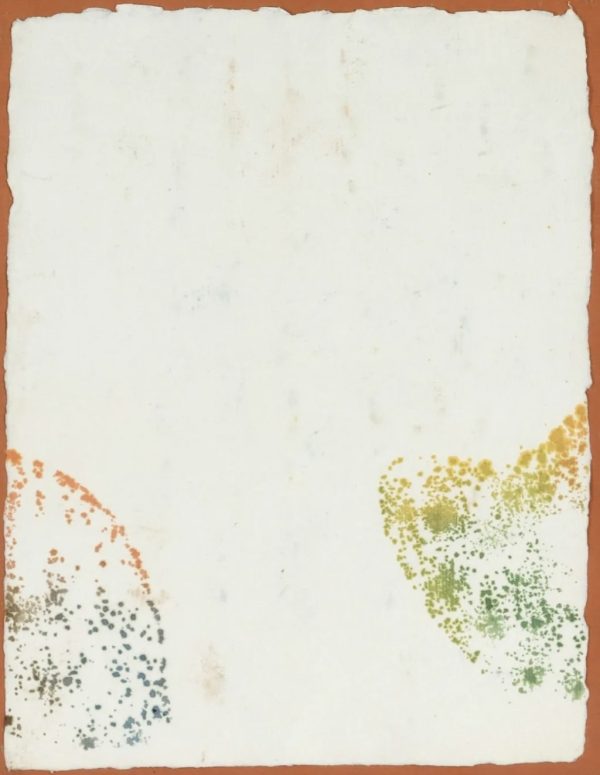Claude Viallat (né en 1936) - Empreinte - Encres sur papier