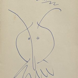 Petite tête de mousquetaire