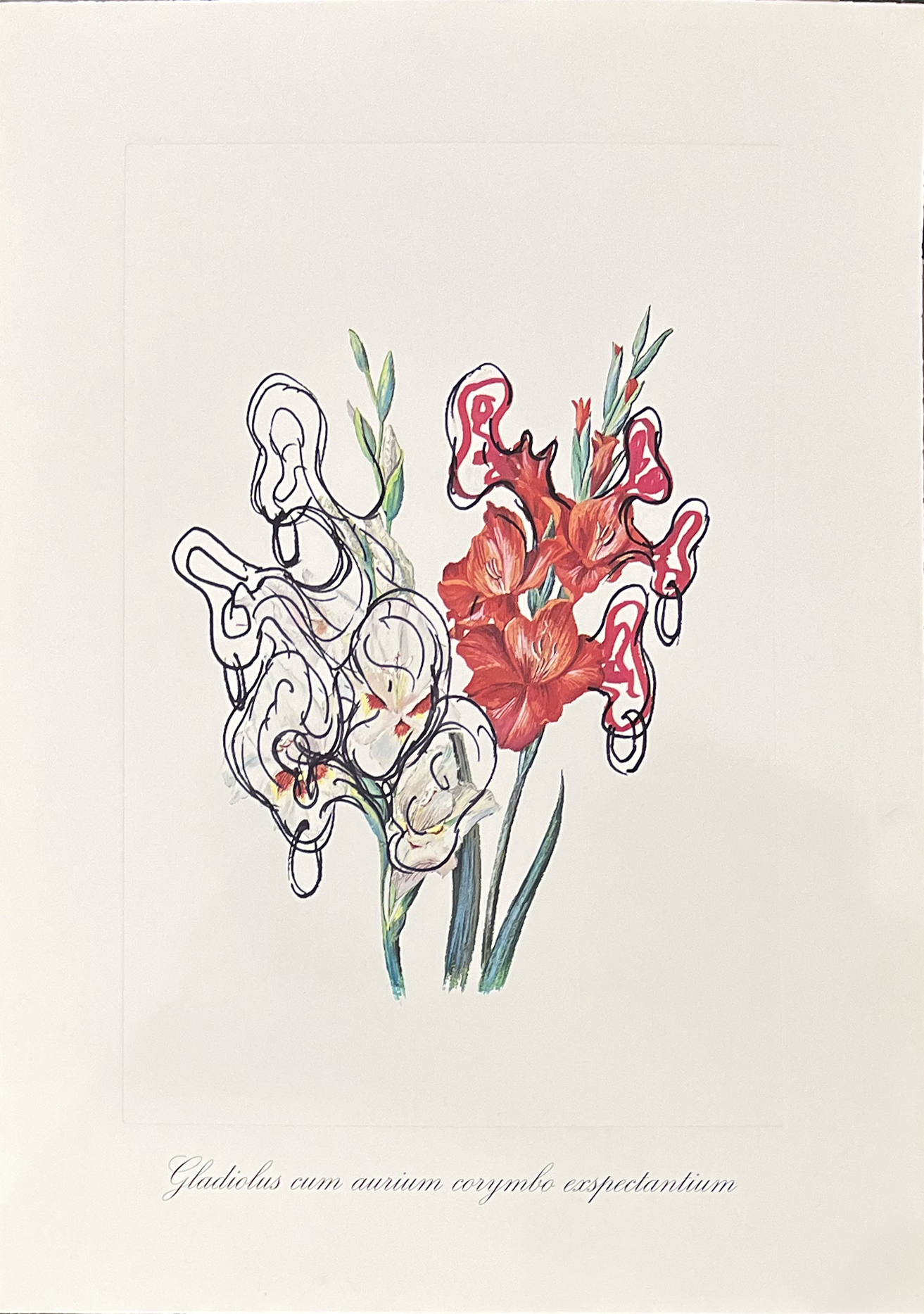 Surrealist Flowers, 1972 – Image 5