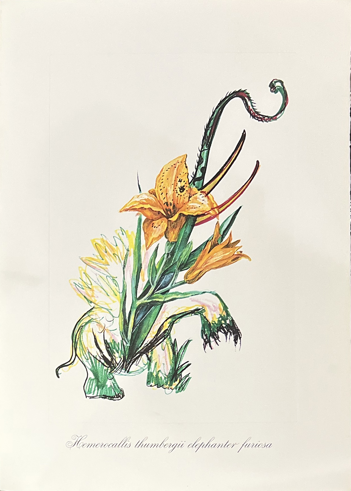 Surrealist Flowers, 1972 – Image 6