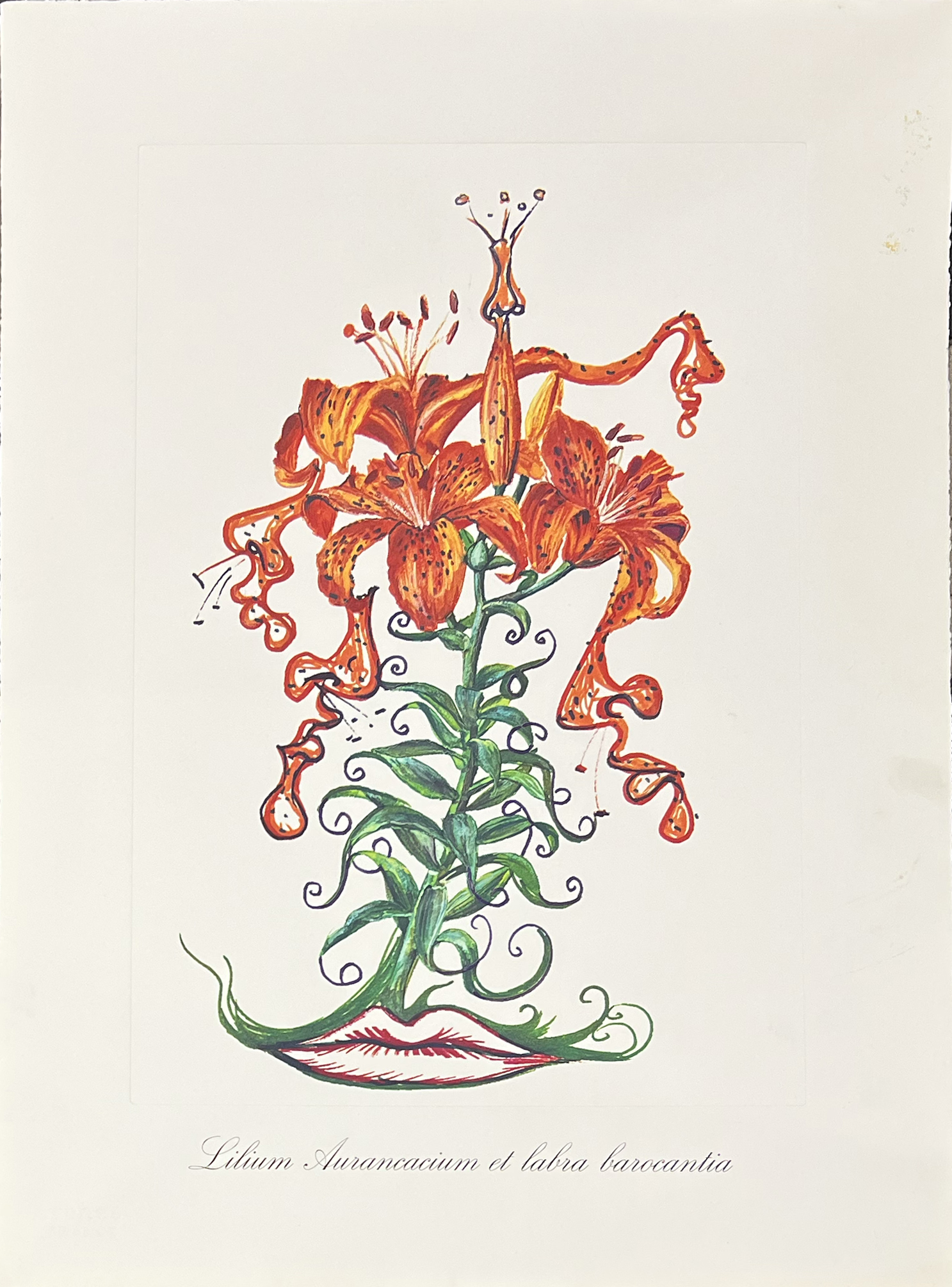 Surrealist Flowers, 1972 – Image 10