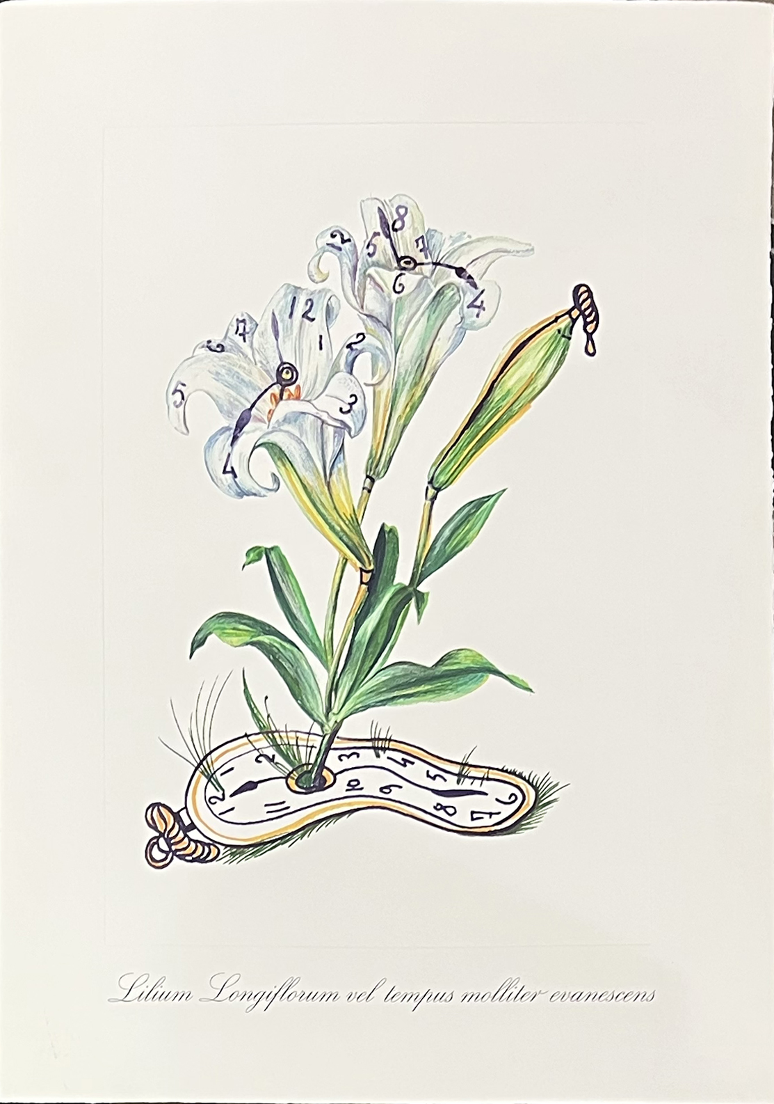 Surrealist Flowers, 1972 – Image 11