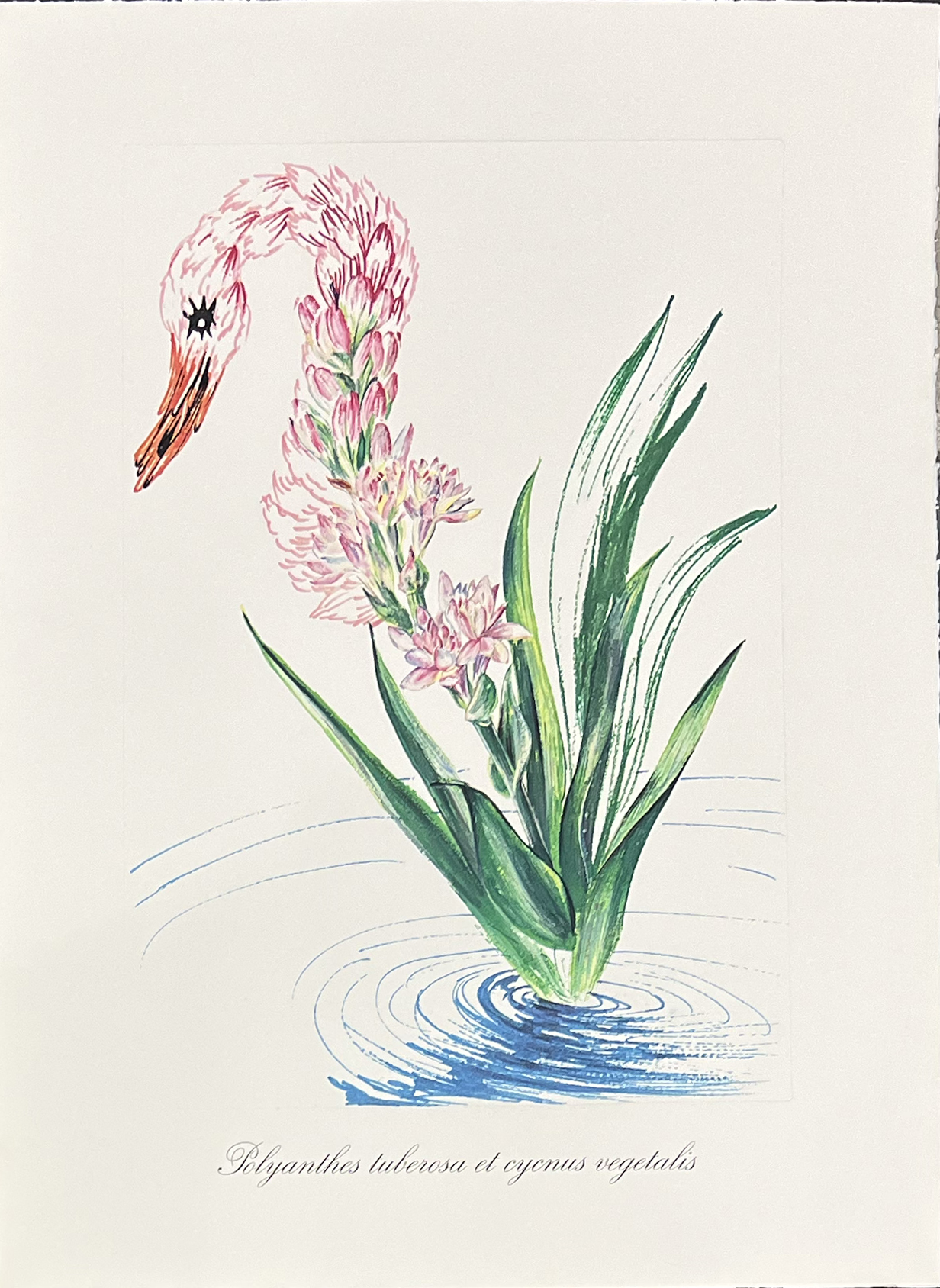 Surrealist Flowers, 1972 – Image 12