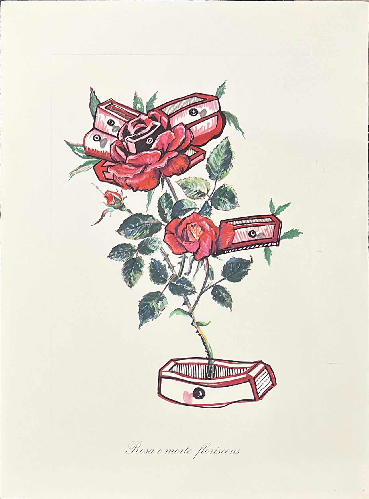 Surrealist Flowers, 1972 – Image 13