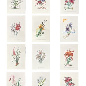 Surrealist Flowers, 1972