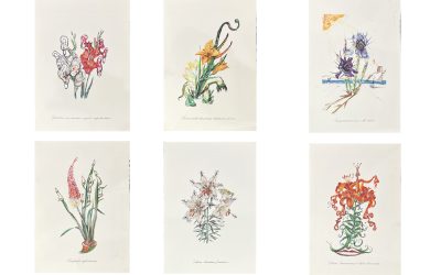 Surrealist Flowers, 1972