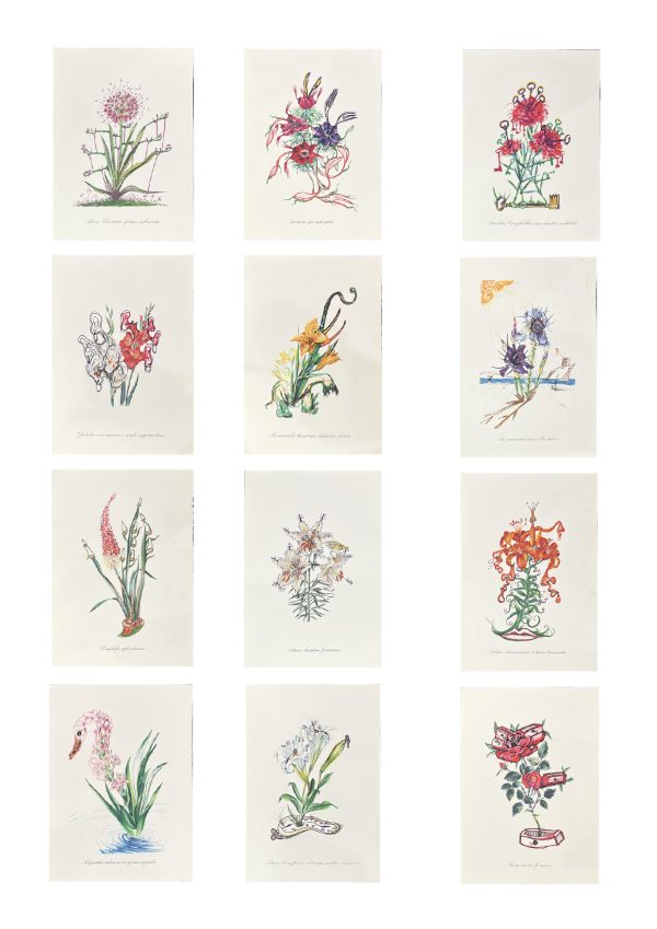 Surrealist Flowers, 1972