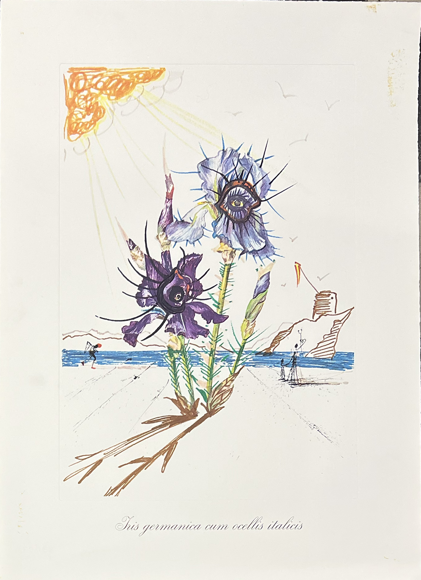 Surrealist Flowers, 1972 – Image 7